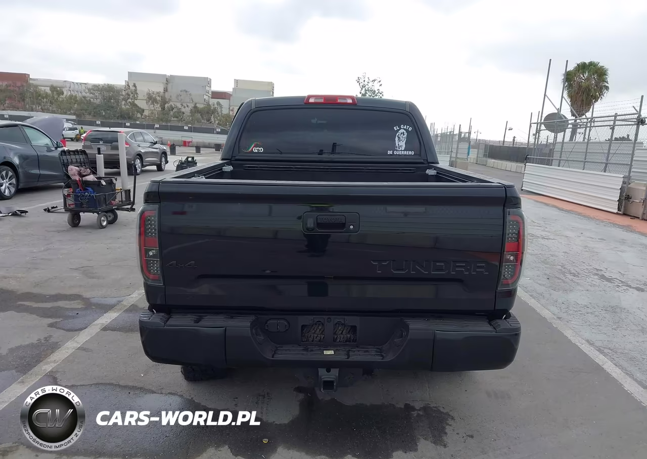 2019 Toyota Tundra Trd Pro 5.7L V8 VIN:5TFDY5F10KX816773 - 16
