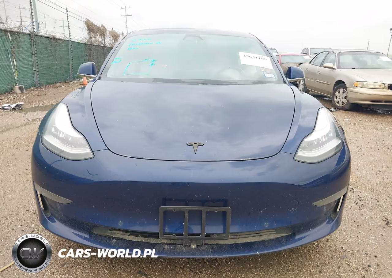 2019 Tesla Model 3 Long Range-Mid Range-Standard Range-Standard Range Plus VIN:5YJ3E1EA7KF431770 - 12