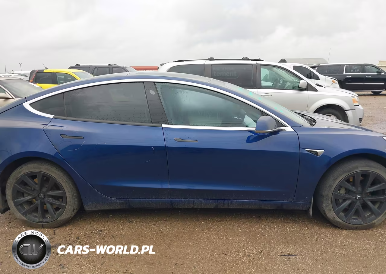 2019 Tesla Model 3 Long Range-Mid Range-Standard Range-Standard Range Plus VIN:5YJ3E1EA7KF431770 - 13