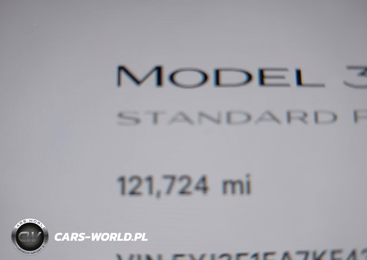 2019 Tesla Model 3 Long Range-Mid Range-Standard Range-Standard Range Plus VIN:5YJ3E1EA7KF431770 - 15