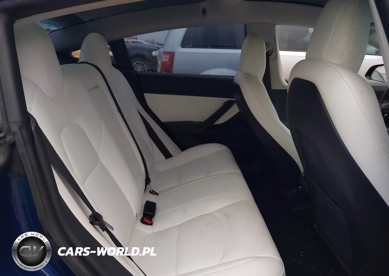 2019 Tesla Model 3 Long Range-Mid Range-Standard Range-Standard Range Plus VIN:5YJ3E1EA7KF431770 - 8