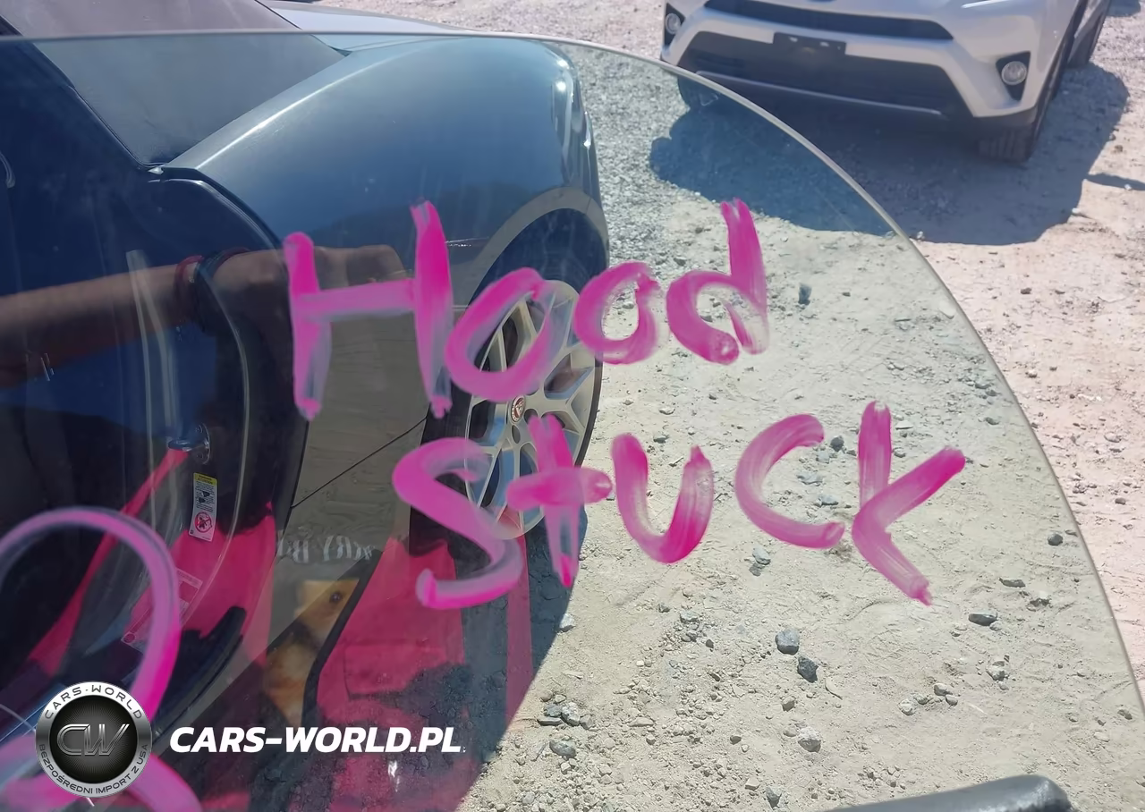 2019 Jaguar F-Type P300 VIN:SAJDD5GX1KCK55944 - 10