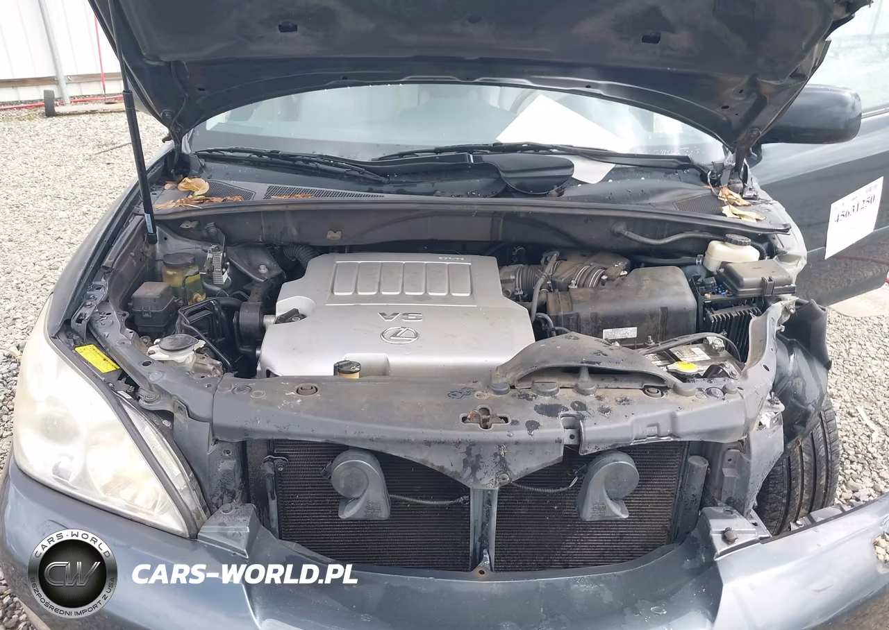 2007 Lexus Rx 350 VIN:2T2HK31U27C014025 - 10