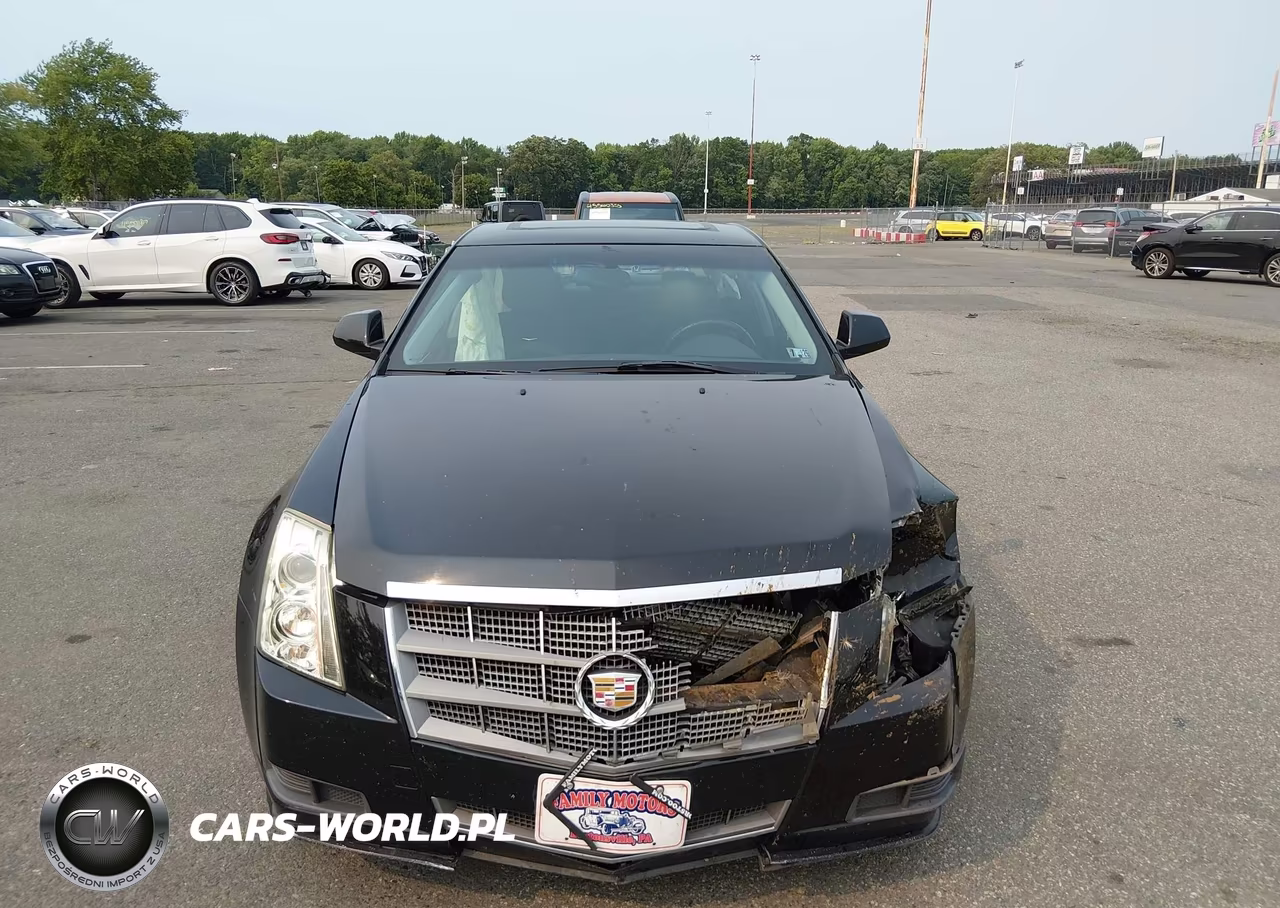2010 Cadillac Cts Luxury VIN:1G6DG5EG4A0120405 - 12