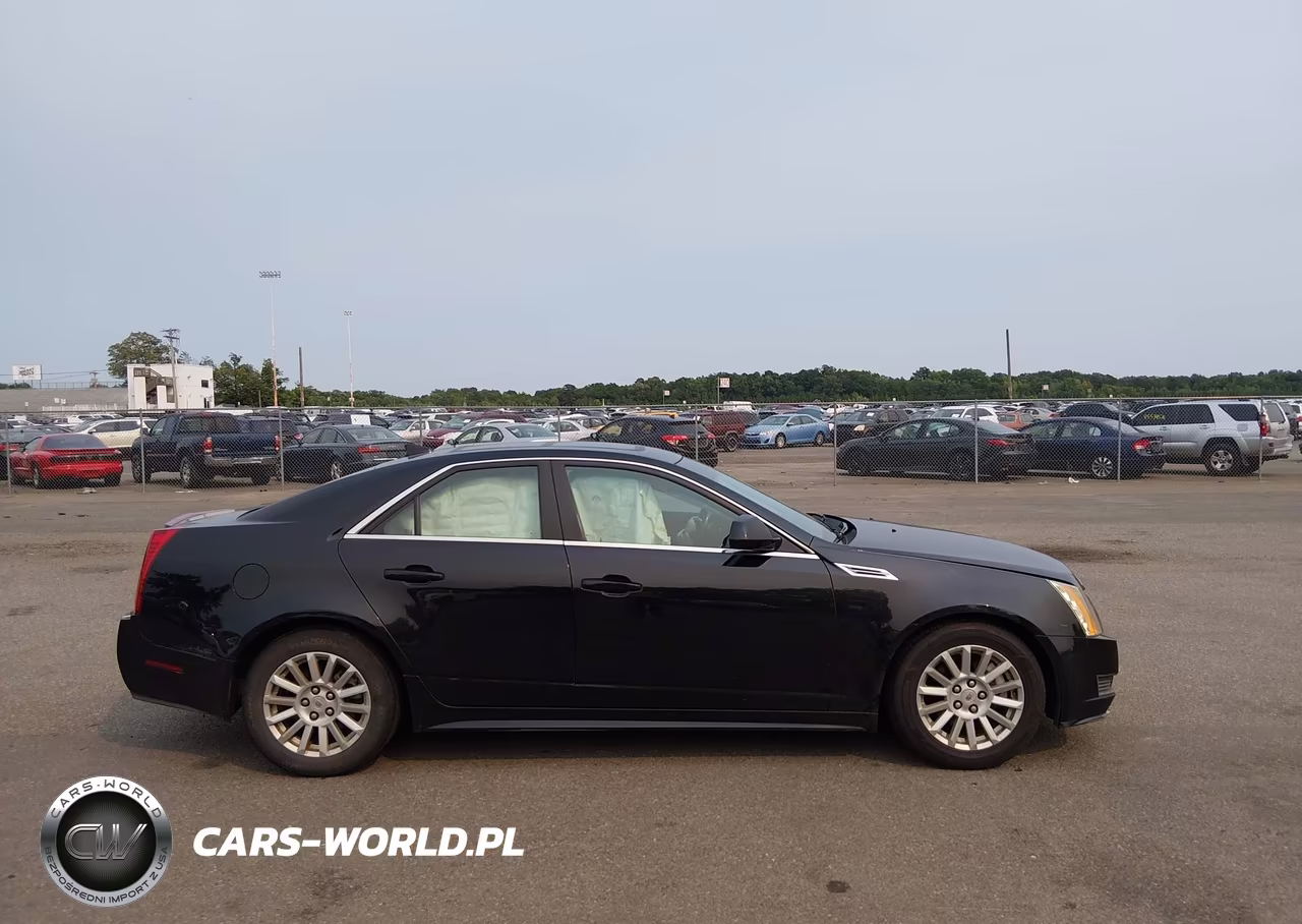 2010 Cadillac Cts Luxury VIN:1G6DG5EG4A0120405 - 13