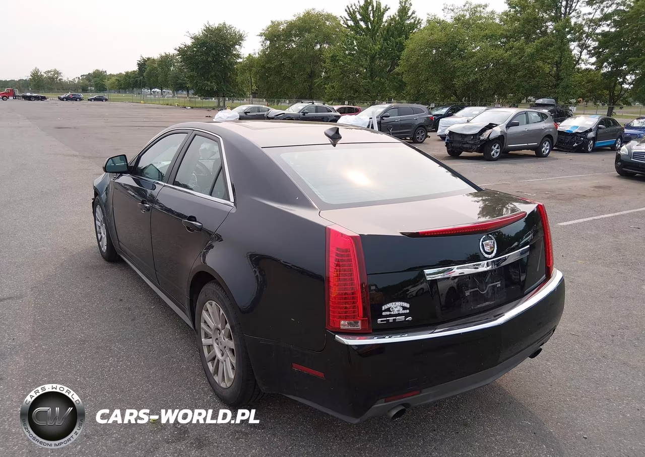 2010 Cadillac Cts Luxury VIN:1G6DG5EG4A0120405 - 3
