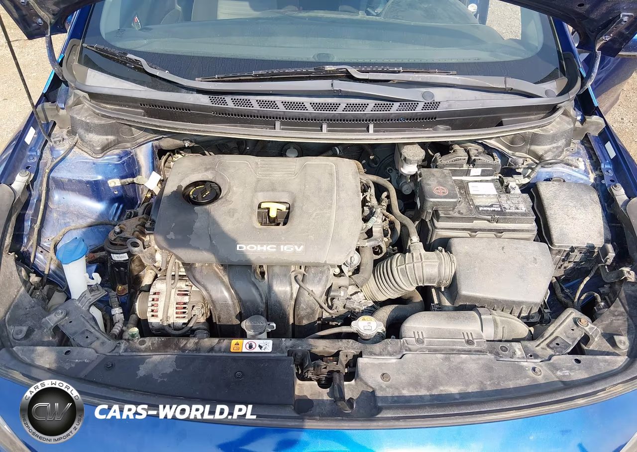 2017 Kia Forte S VIN:3KPFL4A7XHE087574 - 10