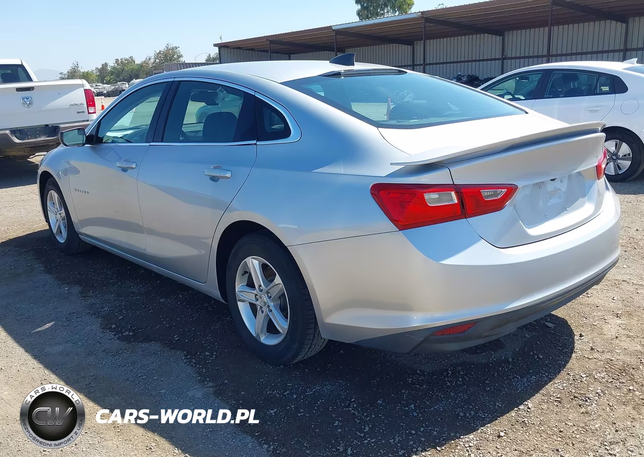 2020 Chevrolet Malibu Fwd 1Fl VIN:1G1ZC5STXLF010869 - 3