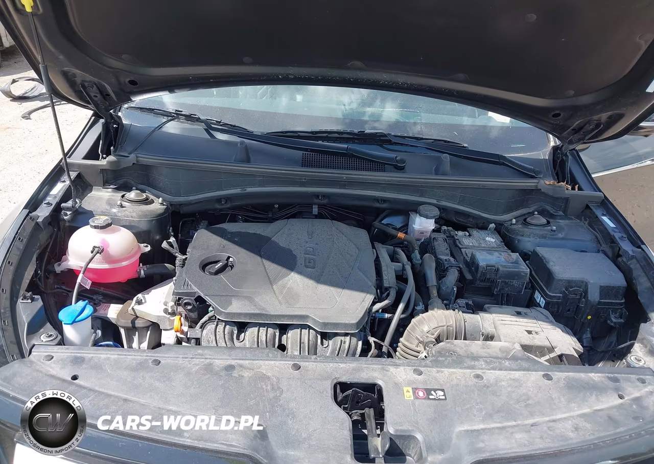 2024 Kia Sportage X-Pro Prestige VIN:5XYK7CDF1RG199541 - 10