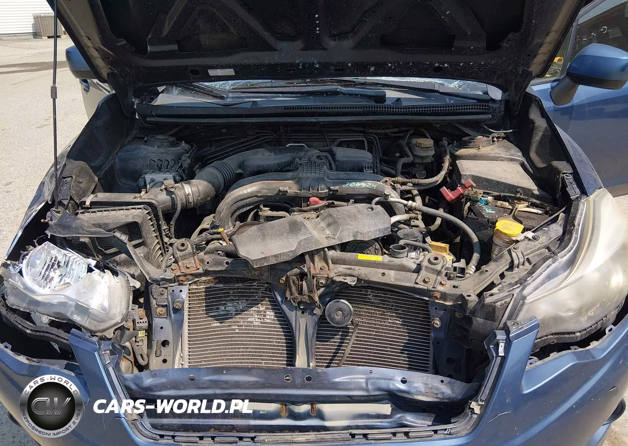2013 Subaru Xv Crosstrek 2.0I Premium VIN:JF2GPACC6D1893329 - 10