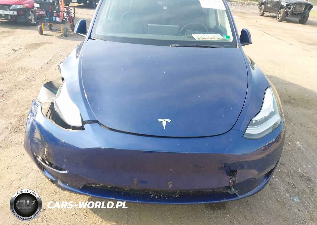 2022 Tesla Model Y Long Range Dual Motor All-Wheel Drive VIN:7SAYGDEE6NF372867 - 6