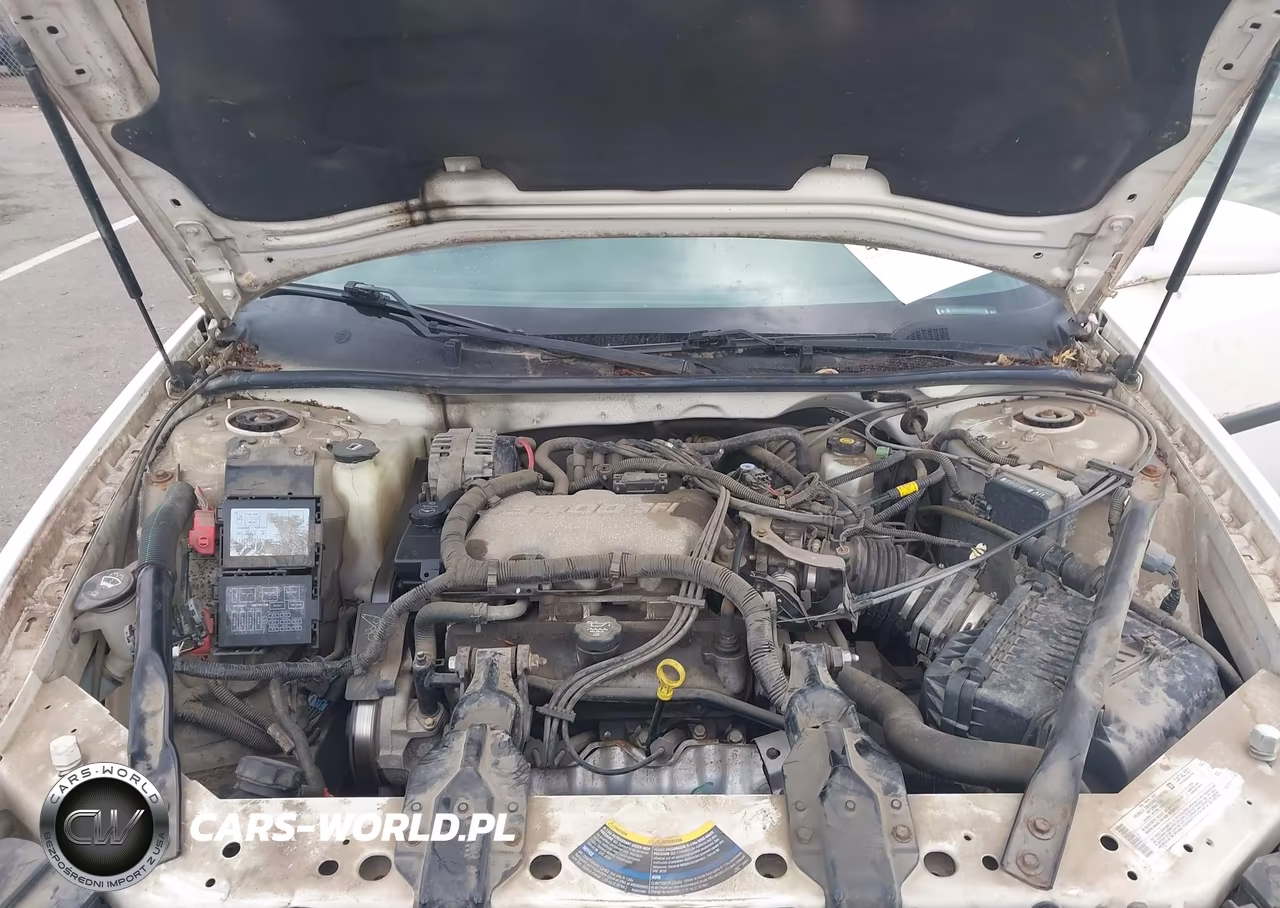 2004 Chevrolet Impala VIN:2G1WF52E749101619 - 10