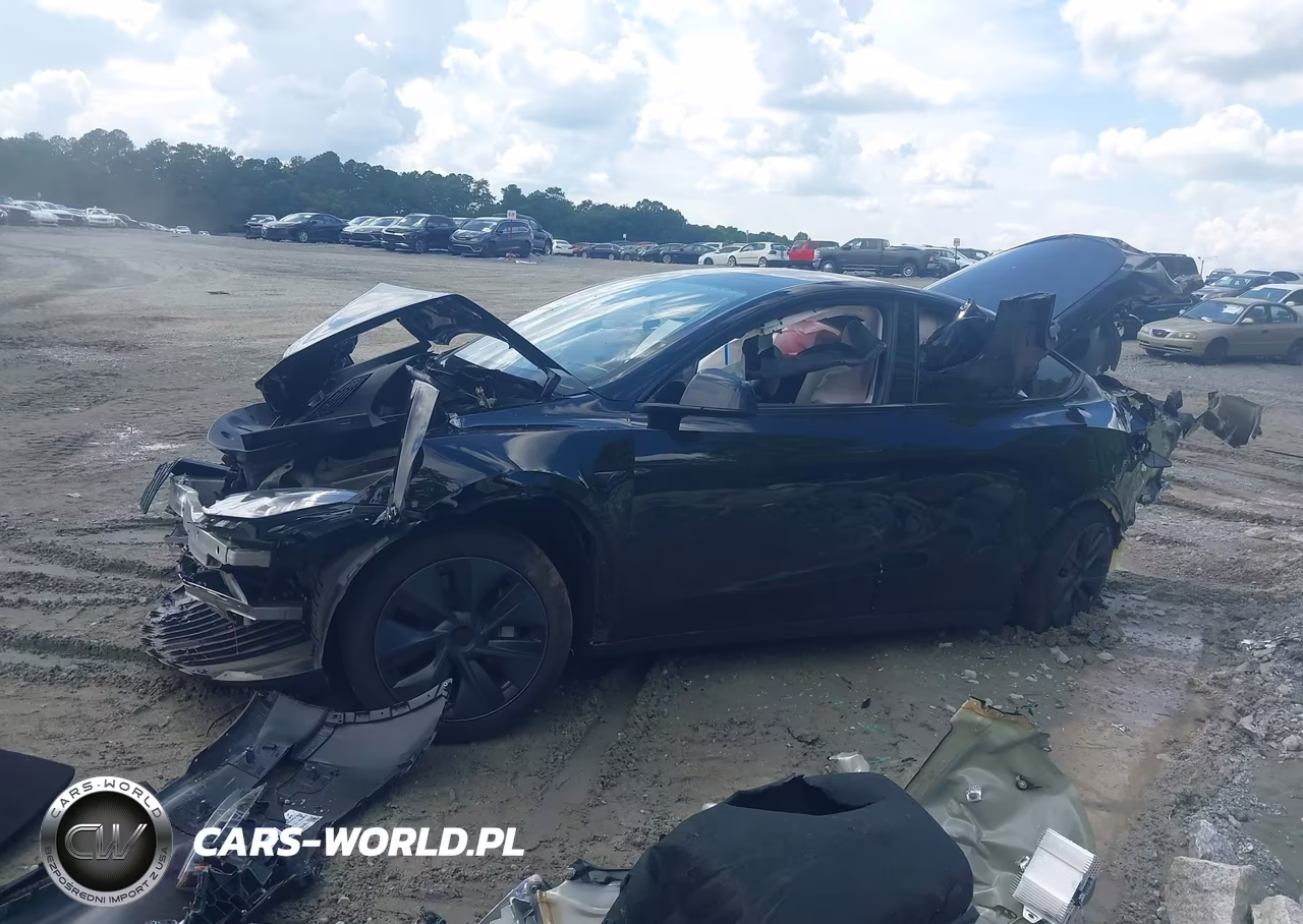 2025 Tesla Model Y Long Range Dual Motor All-Wheel Drive VIN:7SAYGDEE2SA366962 - 13