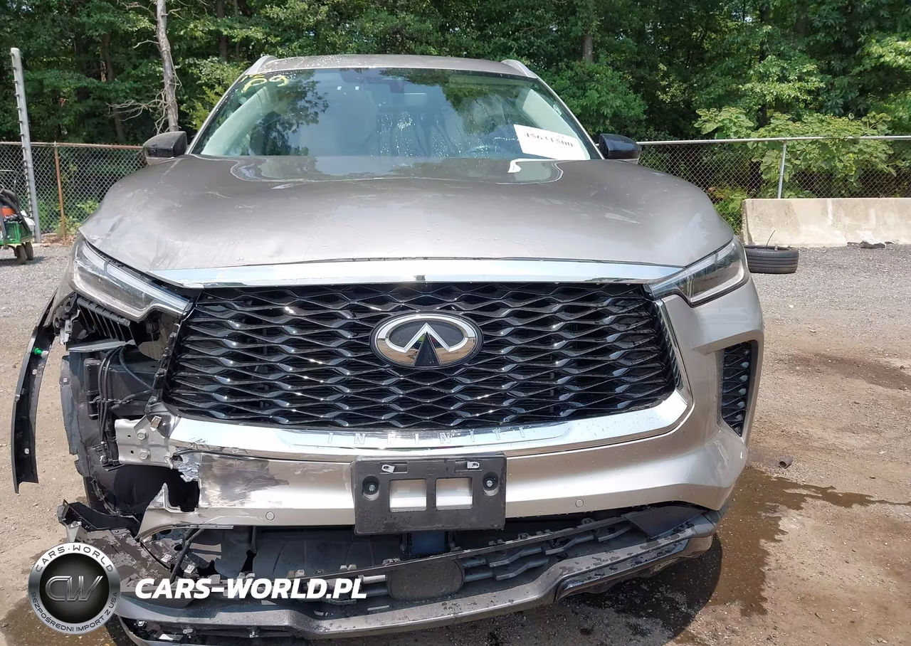 2023 Infiniti Qx60 Luxe Awd VIN:5N1DL1FS4PC331515 - 11