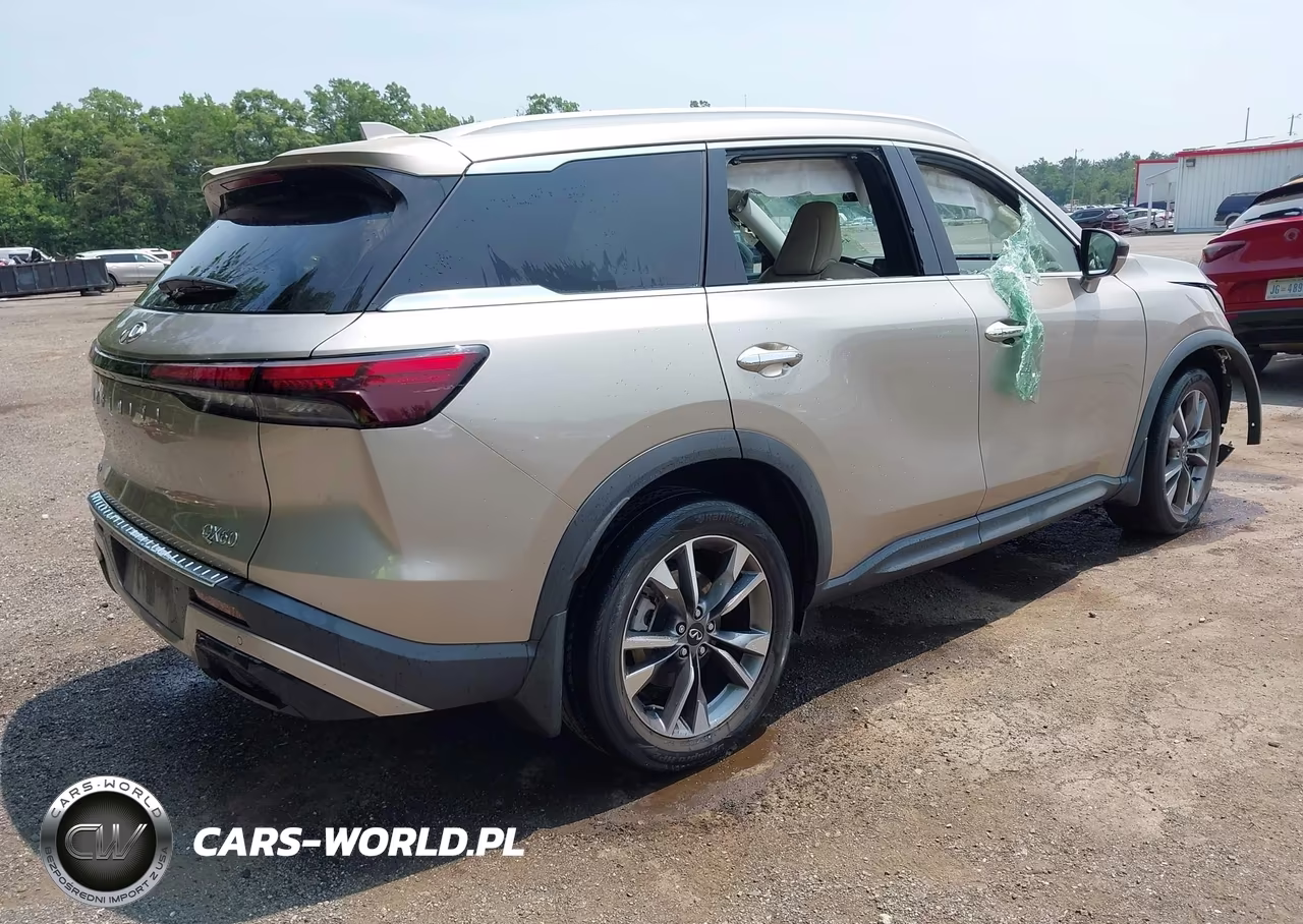 2023 Infiniti Qx60 Luxe Awd VIN:5N1DL1FS4PC331515 - 4