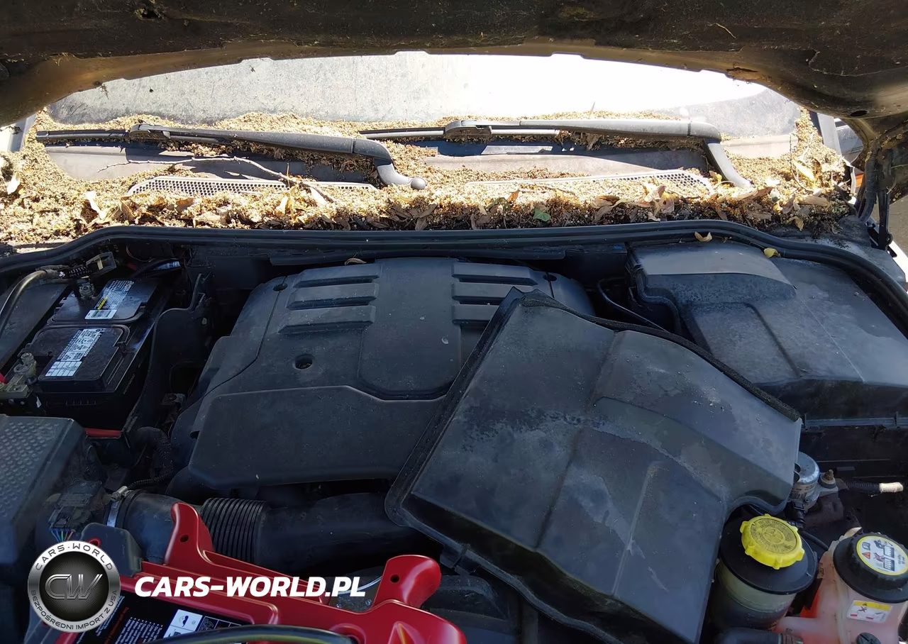 2005 Land Rover Lr3 VIN:SALAD24445A341185 - 10