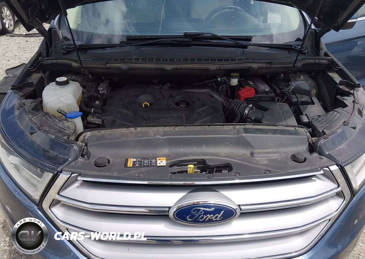2018 Ford Edge Sel VIN:2FMPK3J97JBB35964 - 10