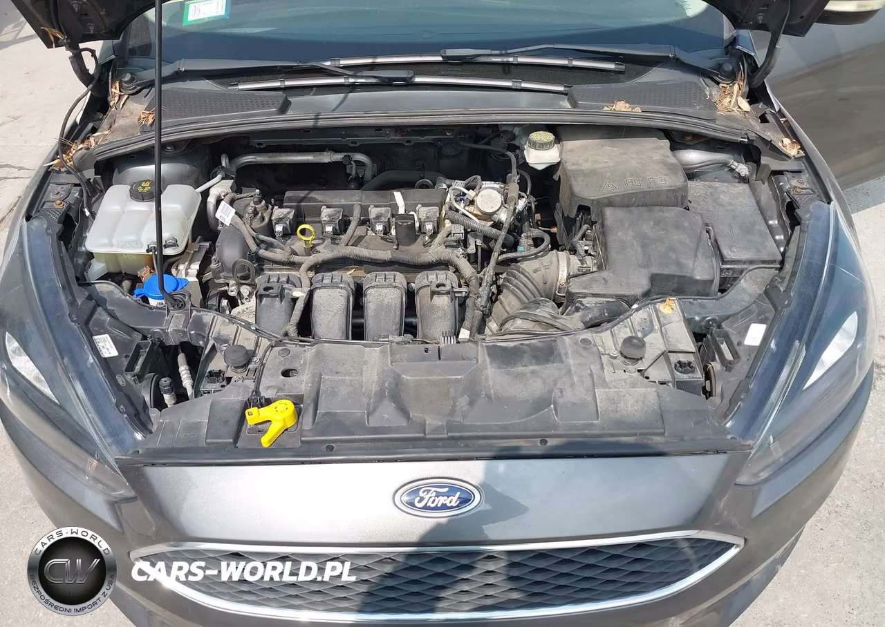 2017 Ford Focus Sel VIN:1FADP3H21HL256927 - 10