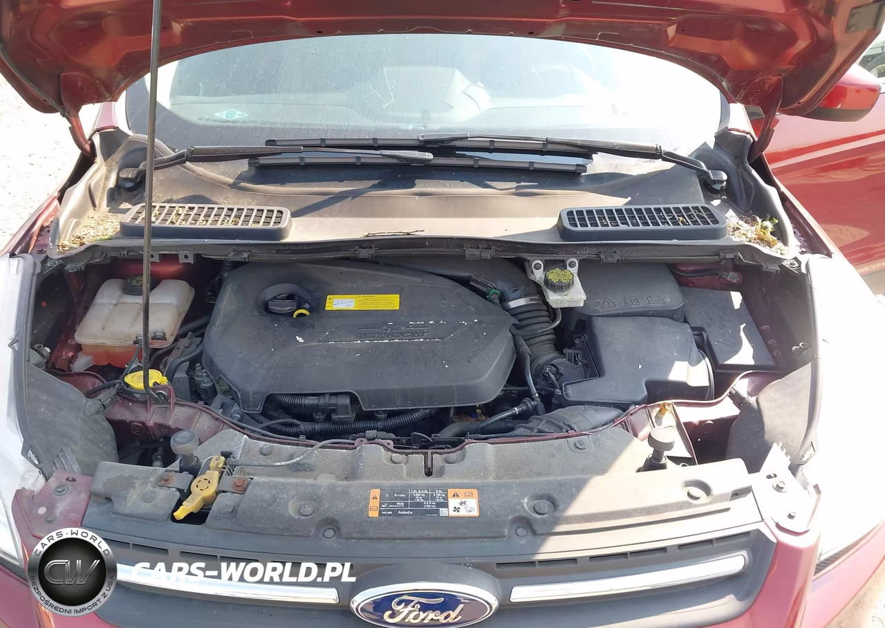2015 Ford Escape Se VIN:1FMCU9GX5FUC75692 - 10
