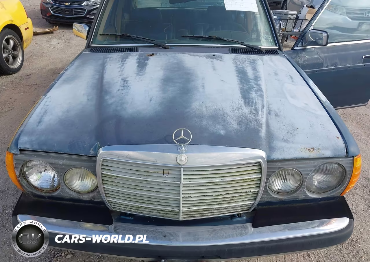 1984 Mercedes-Benz 300 Dt VIN:WDBAB33A7EA060975 - 10