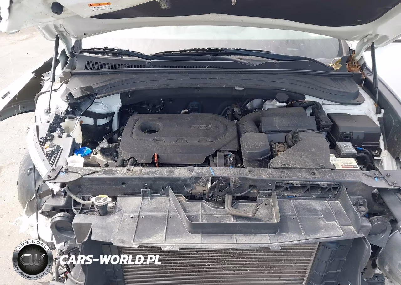 2019 Hyundai Santa Fe Sel VIN:5NMS33AD4KH098813 - 10