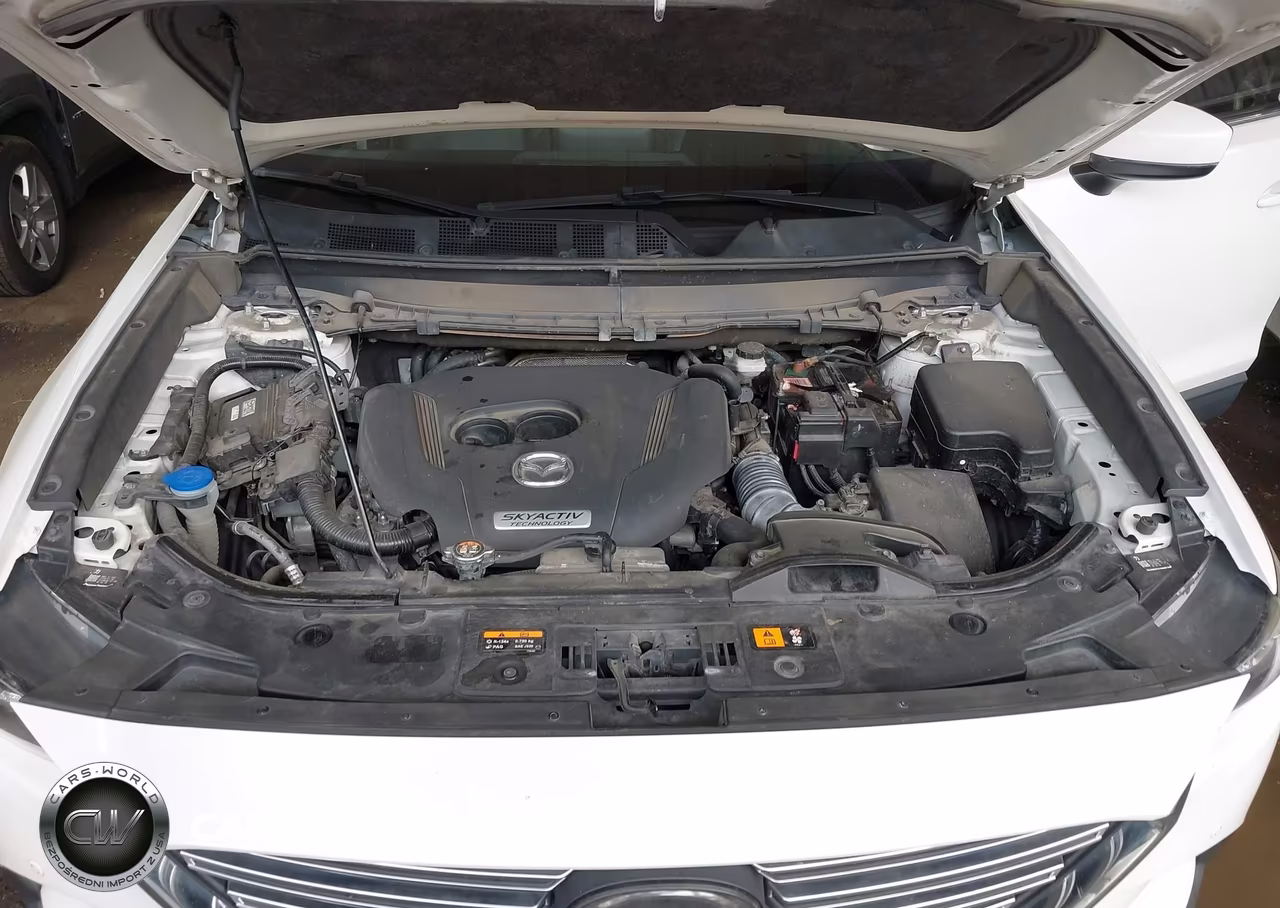 2018 Mazda Cx-9 Touring VIN:JM3TCBCYXJ0235810 - 10
