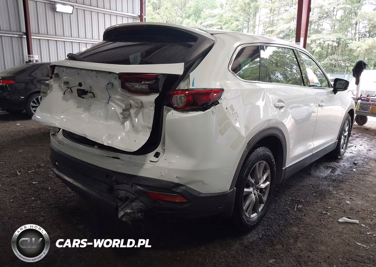 2018 Mazda Cx-9 Touring VIN:JM3TCBCYXJ0235810 - 4