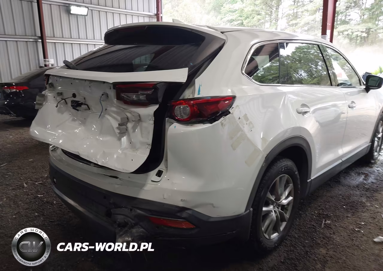 2018 Mazda Cx-9 Touring VIN:JM3TCBCYXJ0235810 - 6