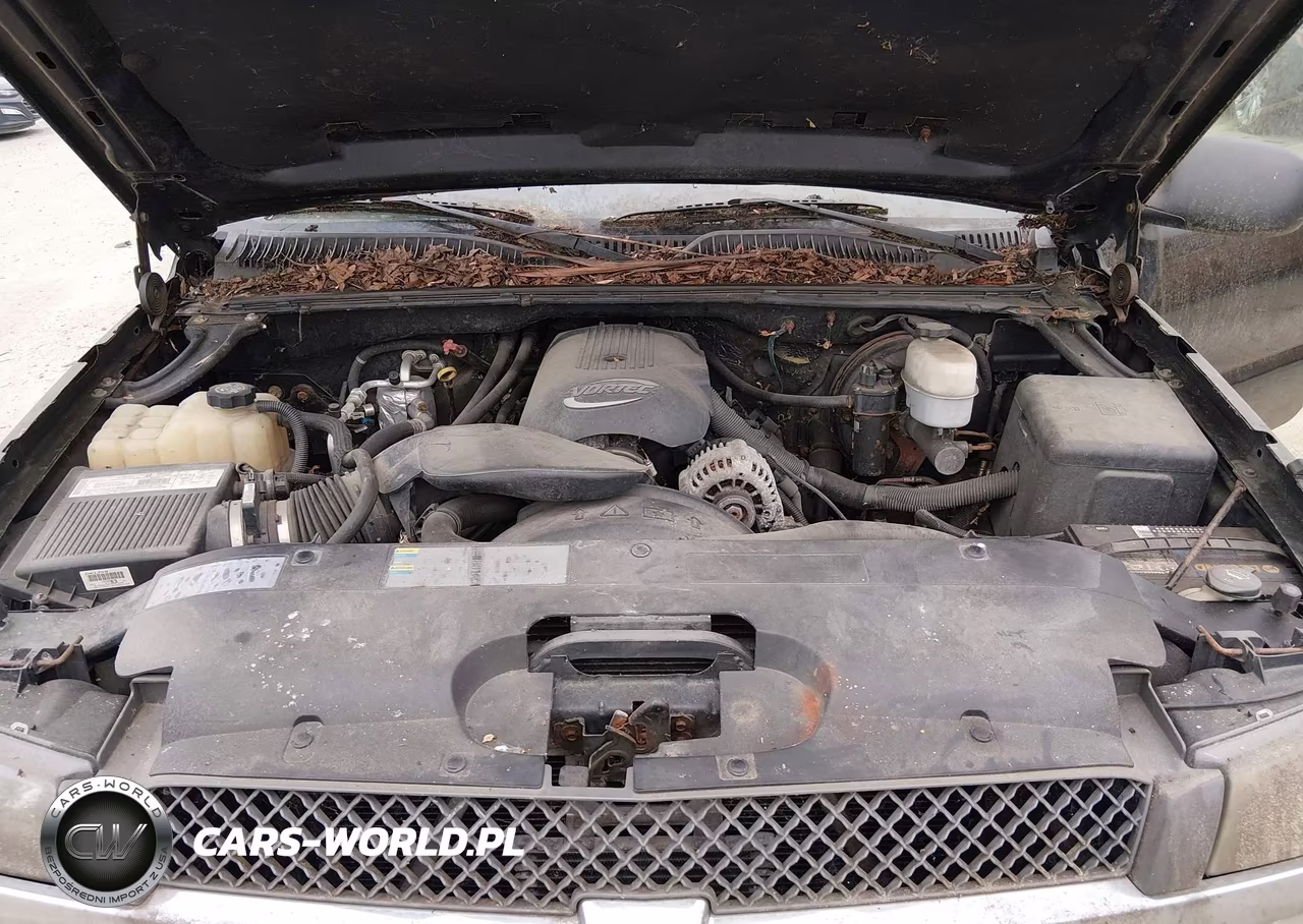 2003 Chevrolet Silverado 1500 VIN:1GCEC14V43E365569 - 10