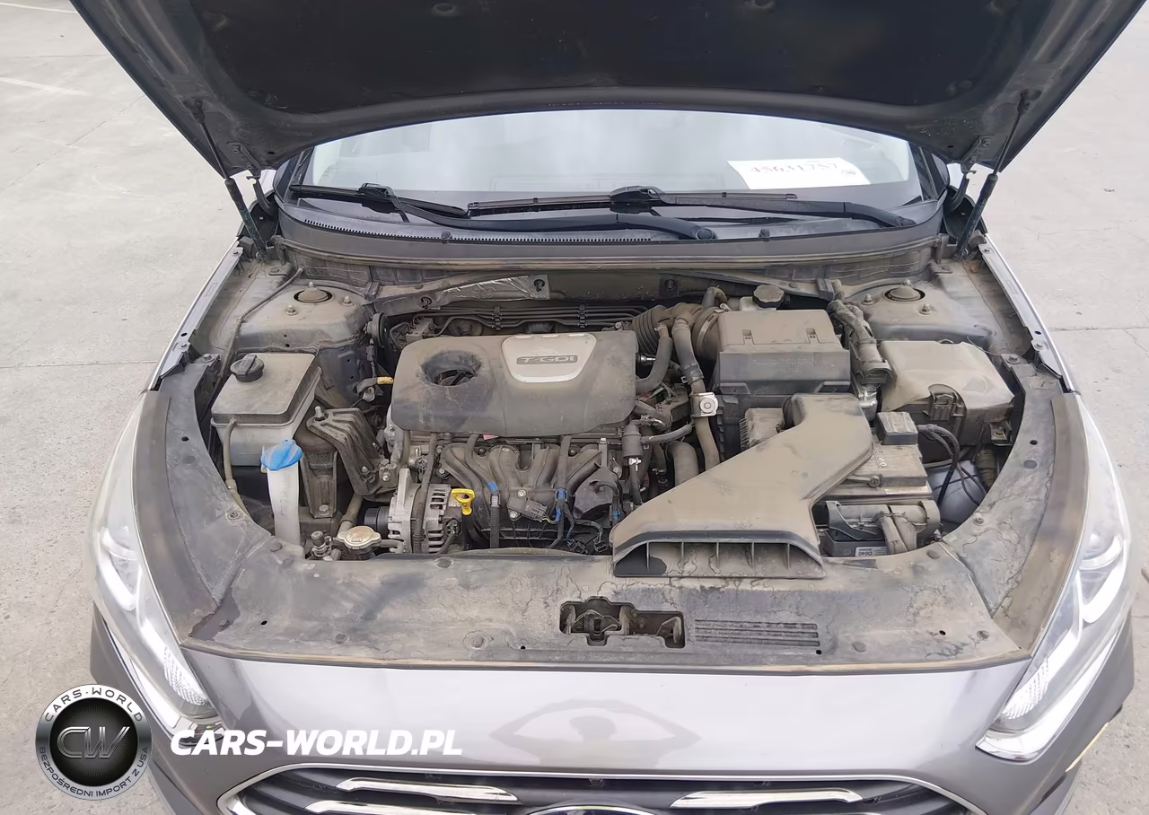 2019 Hyundai Sonata Eco VIN:5NPE24AA3KH775946 - 10