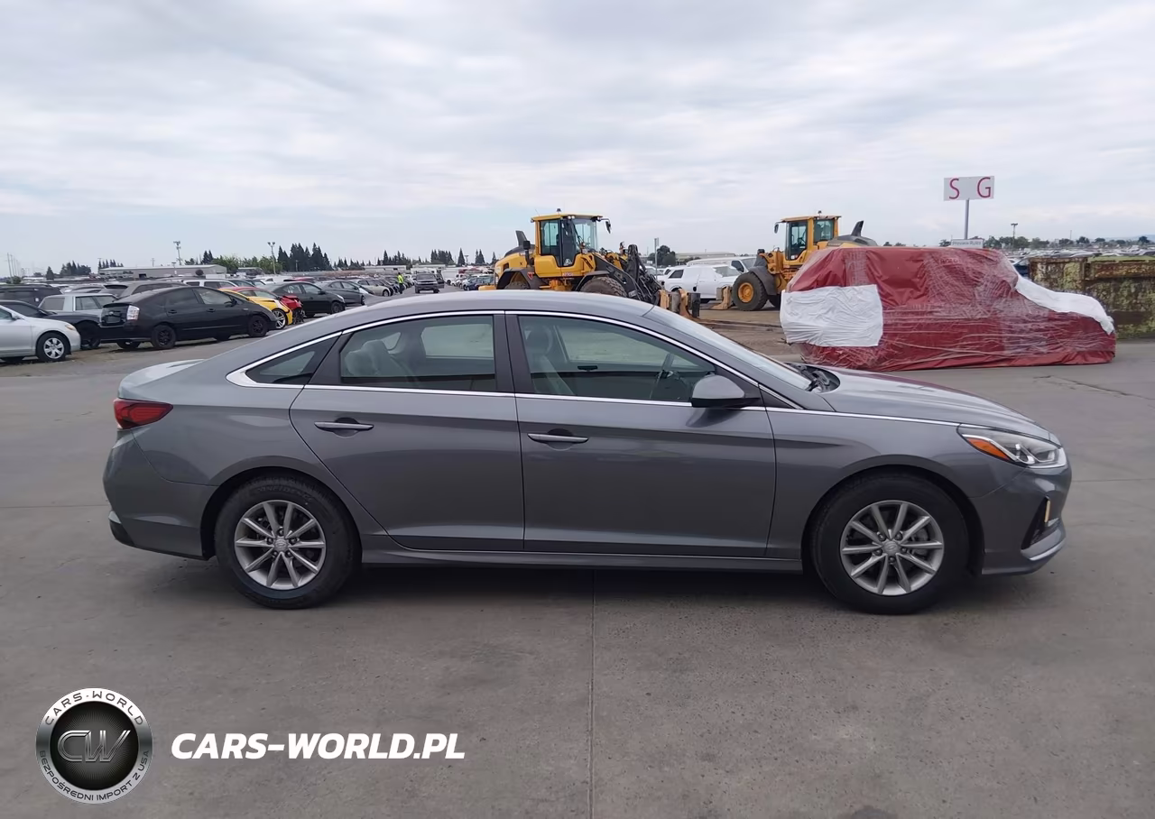 2019 Hyundai Sonata Eco VIN:5NPE24AA3KH775946 - 13