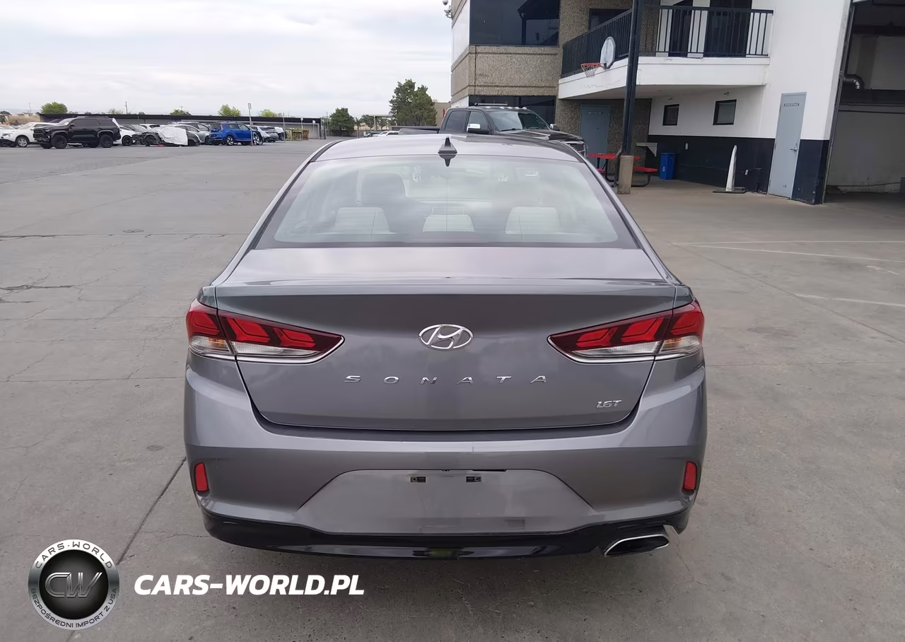 2019 Hyundai Sonata Eco VIN:5NPE24AA3KH775946 - 16