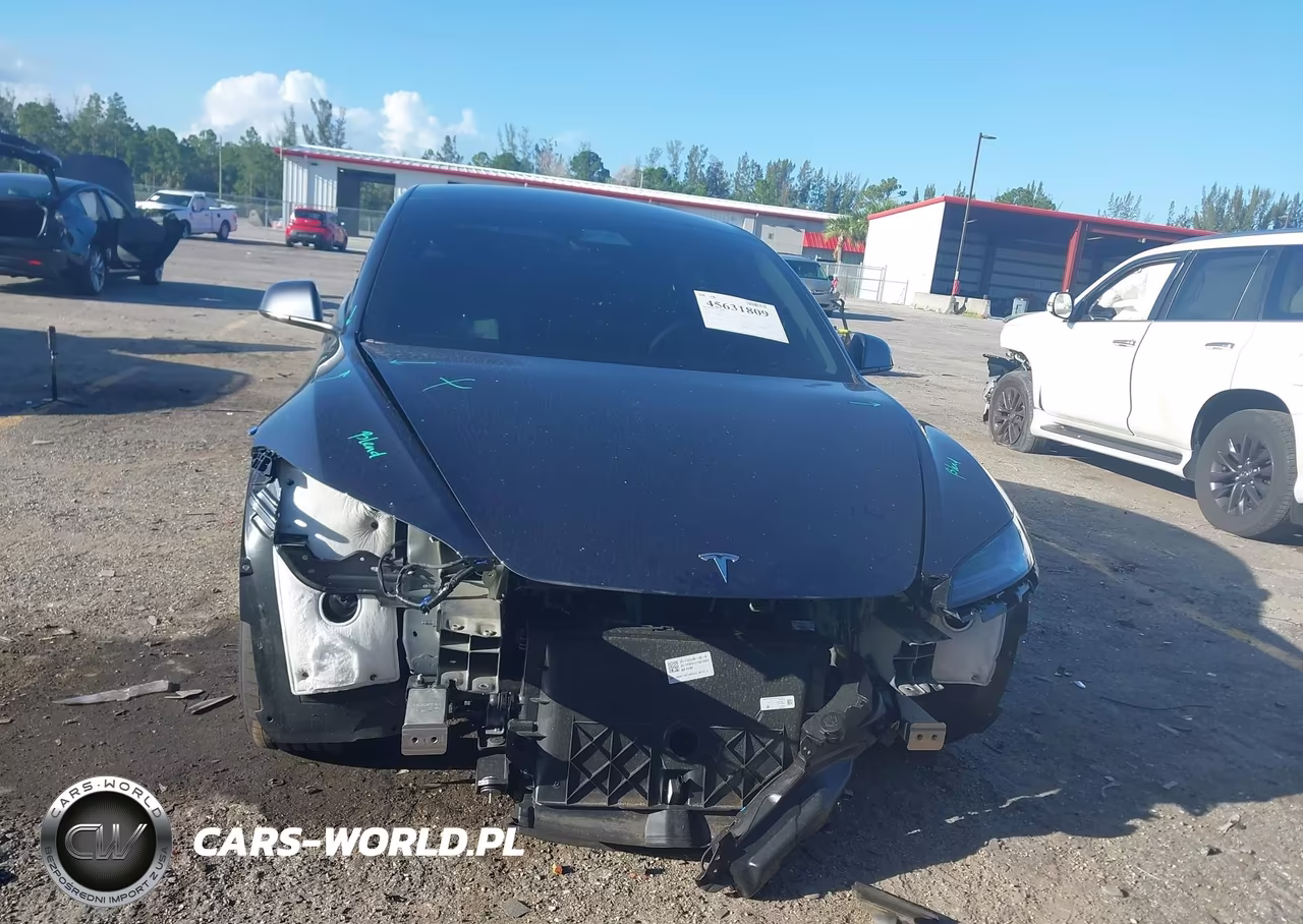 2025 Tesla Model 3 Long Range Rear-Wheel Drive-Standard Rear-Wheel Drive VIN:5YJ3E1EAXSF045246 - 12