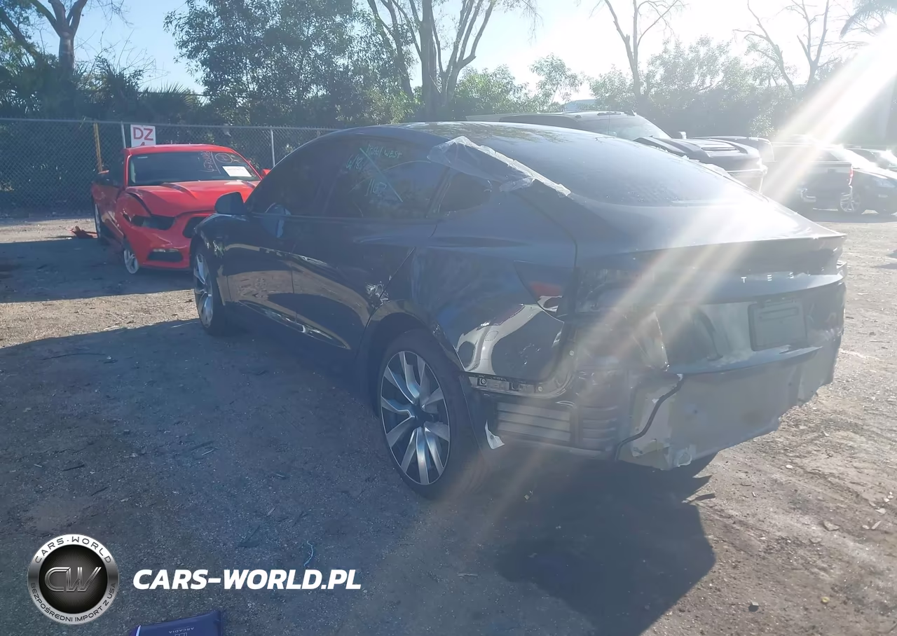 2025 Tesla Model 3 Long Range Rear-Wheel Drive-Standard Rear-Wheel Drive VIN:5YJ3E1EAXSF045246 - 3