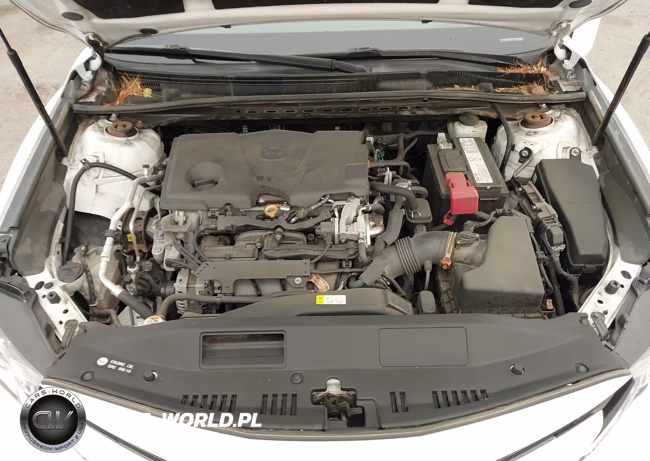 2019 Toyota Camry Le VIN:4T1B11HK2KU853220 - 10