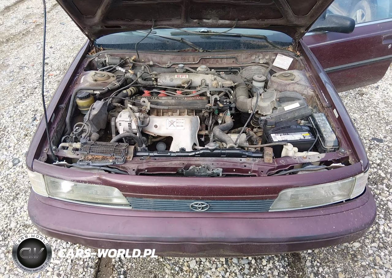 1991 Toyota Camry Dlx VIN:4T1SV21E2MU442174 - 10