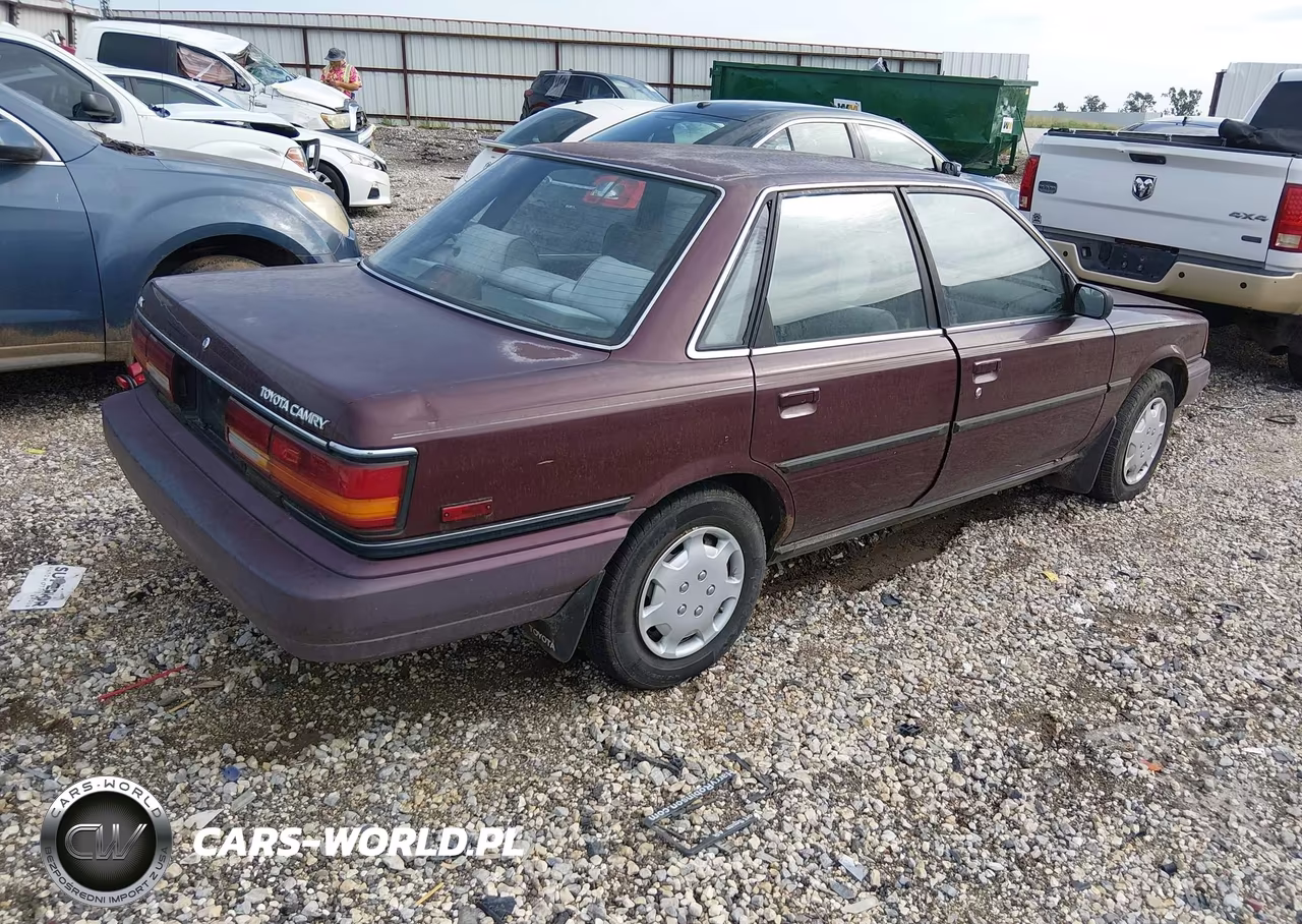 1991 Toyota Camry Dlx VIN:4T1SV21E2MU442174 - 4