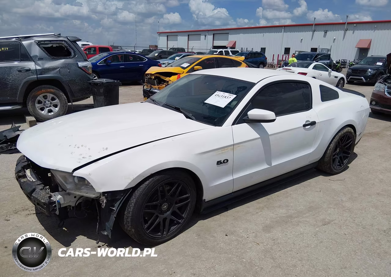 2011 Ford Mustang Gt Premium VIN:1ZVBP8CF5B5132886 - 2