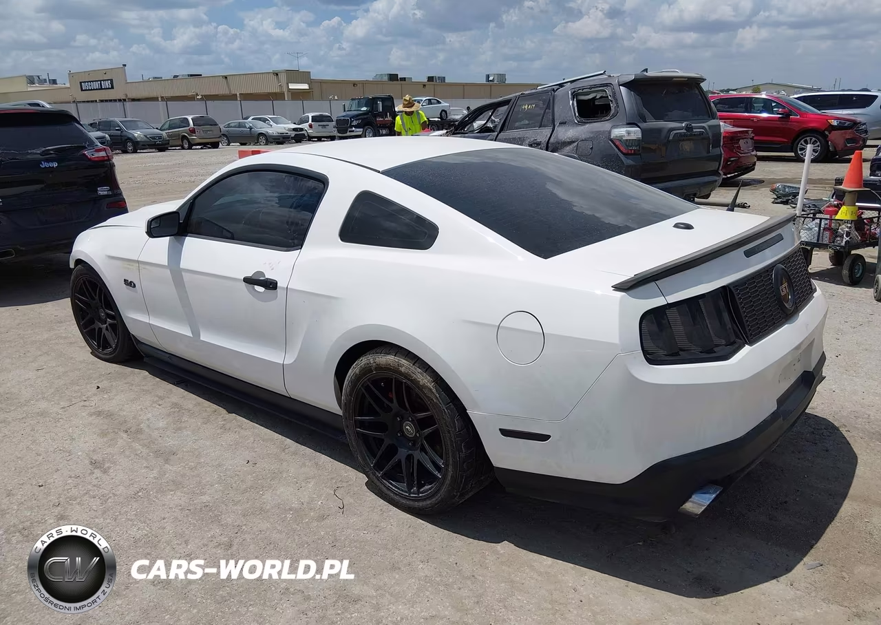 2011 Ford Mustang Gt Premium VIN:1ZVBP8CF5B5132886 - 3