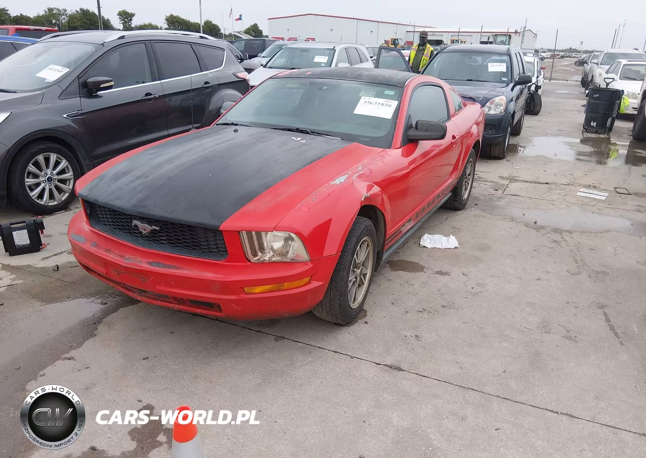 2005 Ford Mustang V6 Deluxe-V6 Premium VIN:1ZVFT80N455130124 - 2