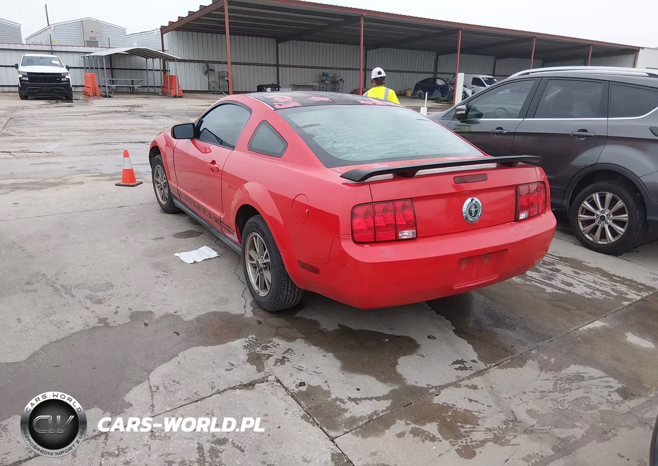 2005 Ford Mustang V6 Deluxe-V6 Premium VIN:1ZVFT80N455130124 - 3