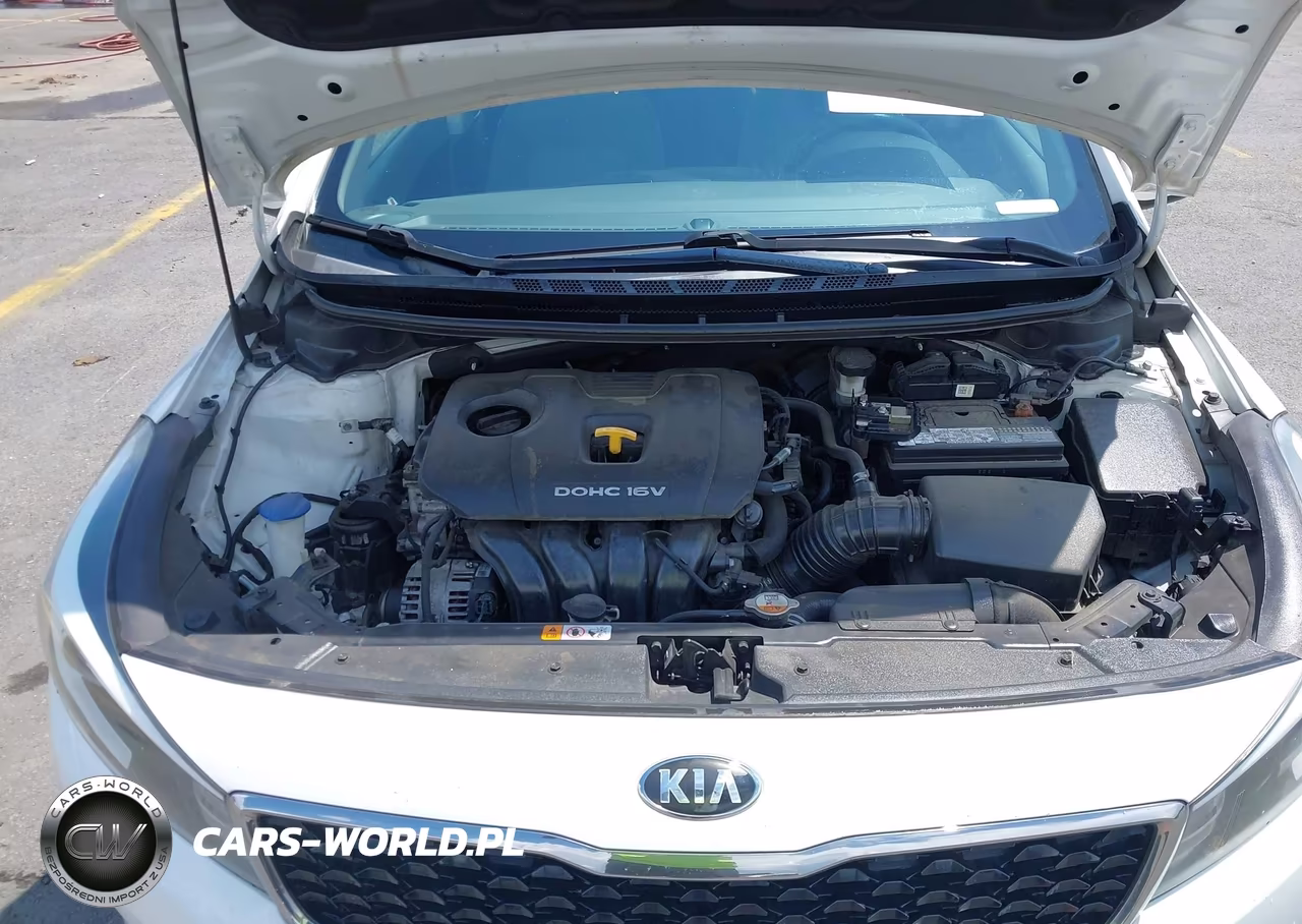 2017 Kia Forte Lx VIN:3KPFK4A71HE120108 - 10