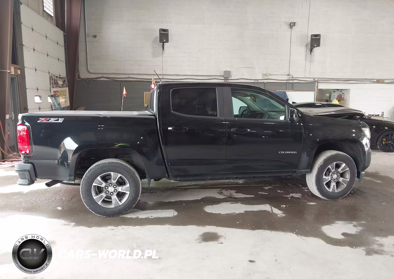 2019 Chevrolet Colorado Z71 VIN:1GCGTDEN1K1285631 - 13
