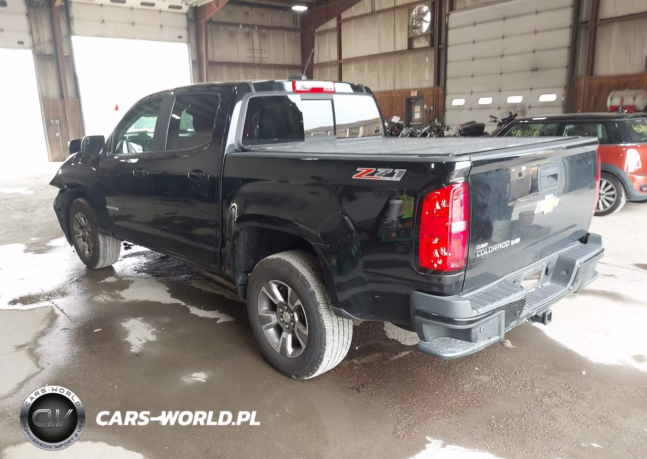 2019 Chevrolet Colorado Z71 VIN:1GCGTDEN1K1285631 - 3