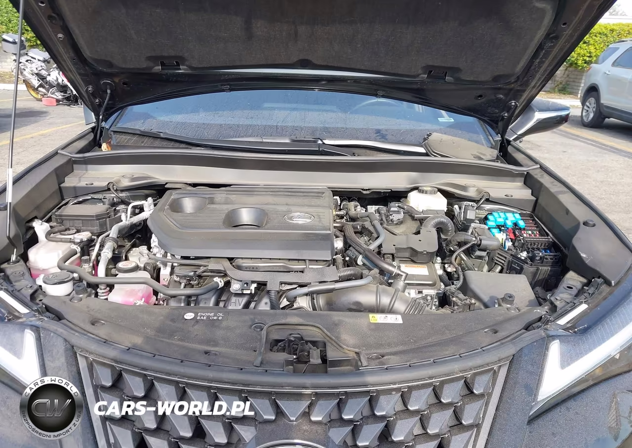 2025 Lexus Ux 300H Premium VIN:JTHUCJDH4S2013306 - 10