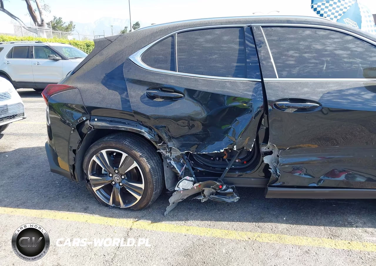 2025 Lexus Ux 300H Premium VIN:JTHUCJDH4S2013306 - 6