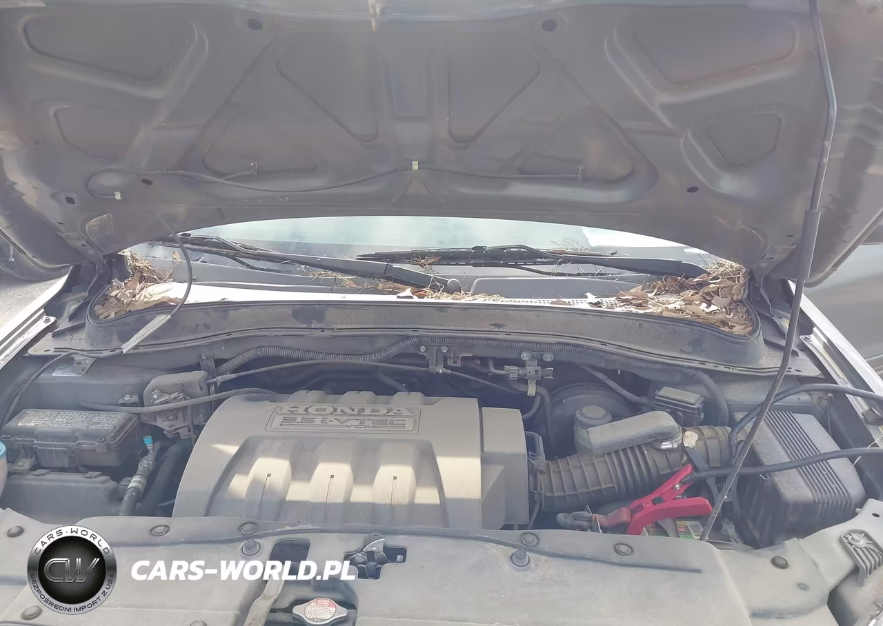 2007 Honda Pilot Ex-L VIN:5FNYF287X7B022680 - 10