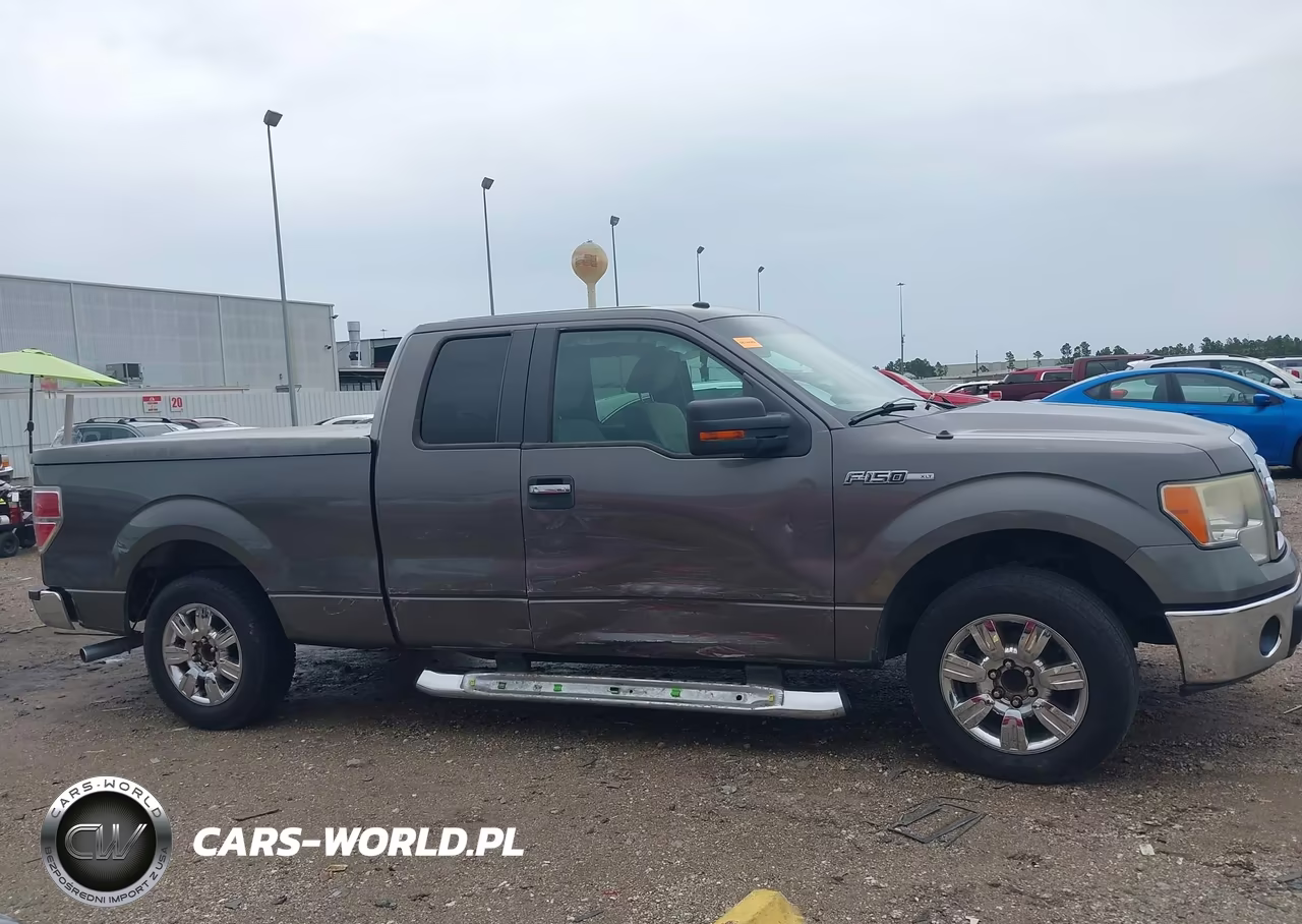 2009 Ford F-150 Stx-Xl-Xlt VIN:1FTRX128X9KB24791 - 13