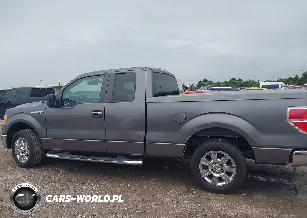2009 Ford F-150 Stx-Xl-Xlt VIN:1FTRX128X9KB24791 - 14