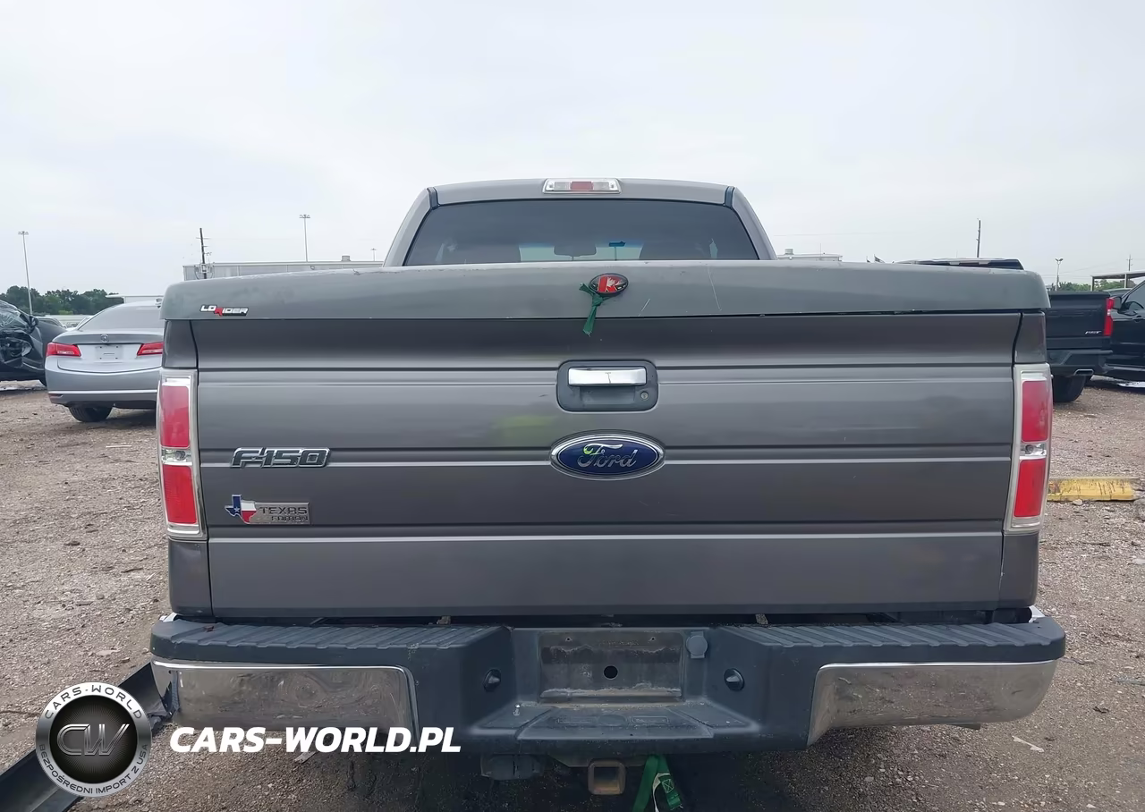 2009 Ford F-150 Stx-Xl-Xlt VIN:1FTRX128X9KB24791 - 16